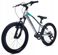 Rower dziecięcy SUN BABY Verdant 20 cali Biało-turkusowy