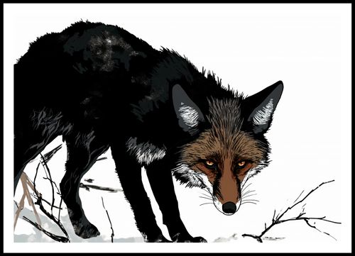 Plakat 100x70cm Nieufny Lis na Arena.pl