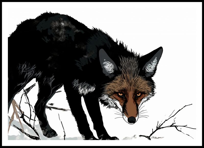 Plakat 100x70cm Nieufny Lis zdjęcie 3