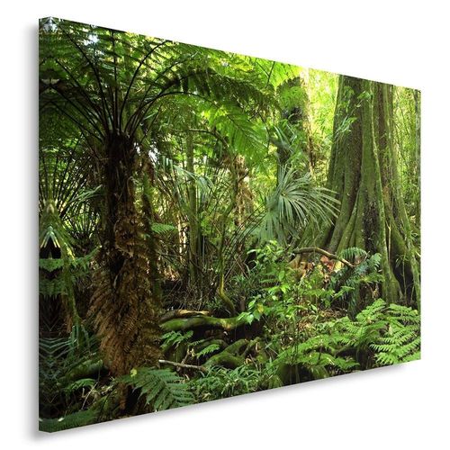 Obraz na płótnie - Canvas, Dżungla 40x60 na Arena.pl