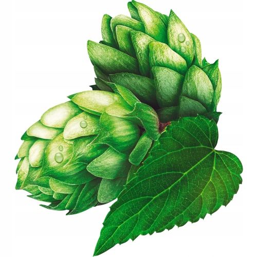 Schauma Men Szampon do Włosów 400ml x 3 na Arena.pl