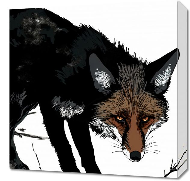 Obraz 50x50cm Nieufny Lis zdjęcie 1