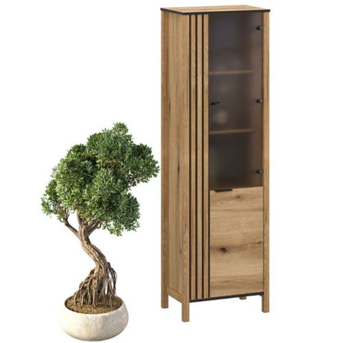 HELIX witryna 1d1w dąb evok. na Arena.pl