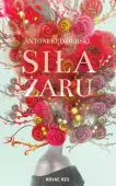 Siła żaru