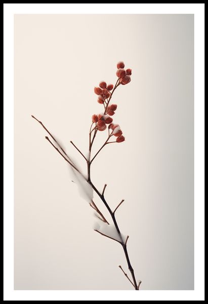 Plakat 53x81cm Subtelna Siła Zimy zdjęcie 3