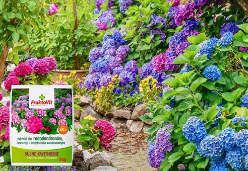 NAWÓZ FRUKTOVIT DO RODODENDRONÓW HORTENSJI KWAŚNOLUBNYCH GRANULAT 5 KG na Arena.pl