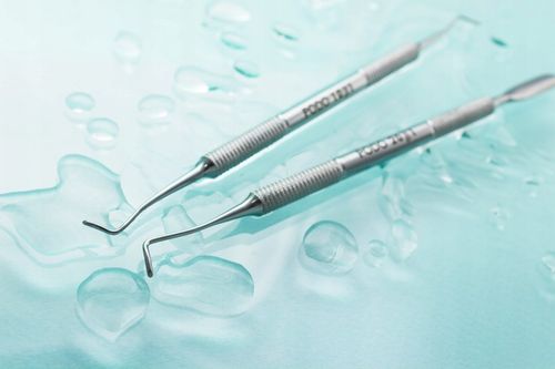 Kopytko Staleks Expert 51 typ 2 kopytko skośne na Arena.pl