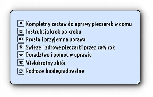 3 Faza Grzybnia Pieczarki Zestaw XL + gratis 6w1 na Arena.pl