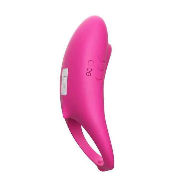 Shark rose red zdjęcie 4