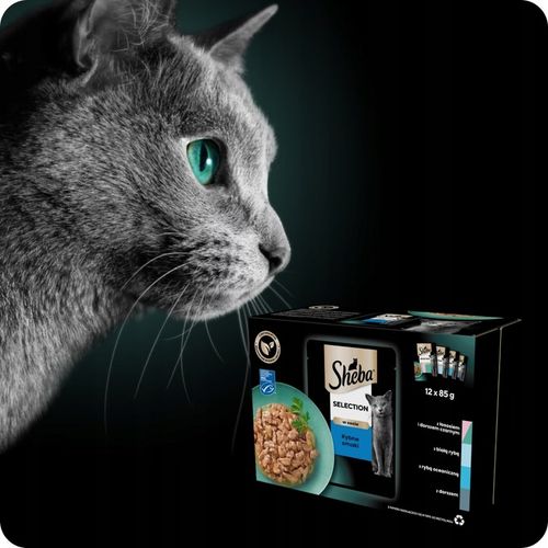 SASZETKI SHEBA SELECTION RYBNE SMAKI 12X85G MOKRA KARMA W SOSIE na Arena.pl