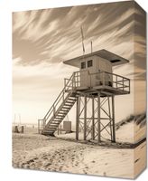 Obraz 30x40cm Strażnik Wydm