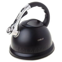 czajnik stalowy 3,2l FLANN MAGIC grube dno OD2629