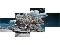 product-compare-58707210