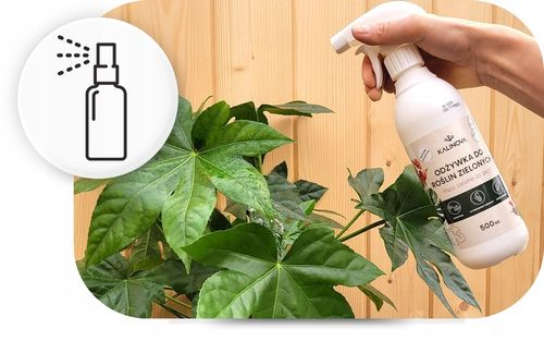 Odżywka Nawozowa Nawóz Do Liści Roślin Zielonych Monstery Palm Fikusa na Arena.pl