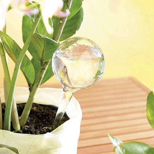 Kule Nawadniające do Kwiatów Nawadniacz Roślin Dozownik Wody Zestaw x 8szt. na Arena.pl