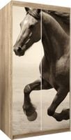 Naklejka samoprzylepna okleina na szafę na wymiar BIEGNĄZY BRĄZOWY KOŃ