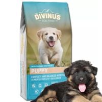 karma dla szczeniąt divinus puppy 4kg