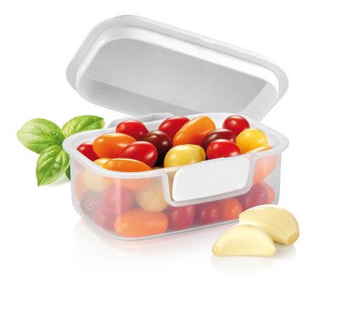Pojemnik FreshZONE 30 x 20 cm na Arena.pl