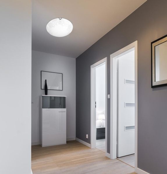 Mea plafon 30 1x60 E27 zdjęcie 2