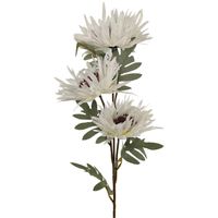 product-compare-61190679