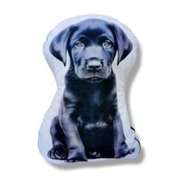 Poduszka piesek przytulanka maskotka z psem pluszowy pies labrador czarny
