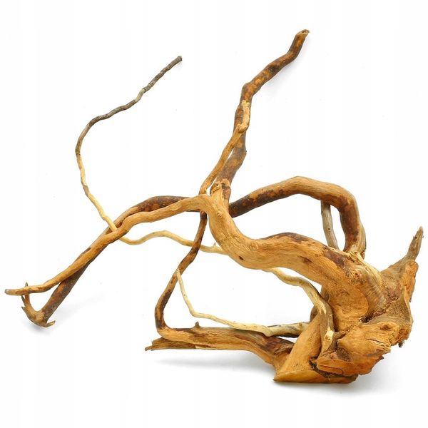 Korzeń Red Moor wood S ( zdjęcie 1