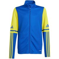 Bluza adidas Squadra 25 Training Jr JP3150 128 cm