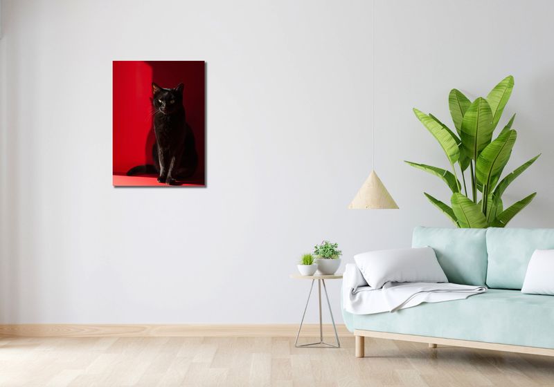 Obraz 50x70cm Elegancja w Cieniu zdjęcie 2
