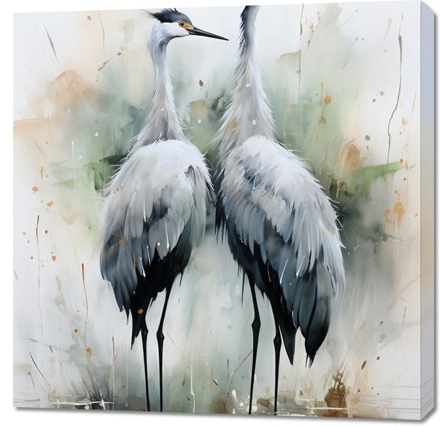 Obraz 90x90cm Tańczące Czaple zdjęcie 1