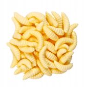 Sztuczne Robaki BIAŁE ZANĘTOWE Przynęty PINKA Muchówki Komplet 100szt