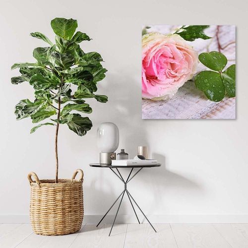 Emaga Obraz na płótnie, Róża kwiaty natura - 60x60 na Arena.pl
