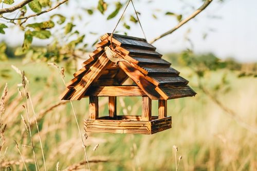 DUŻY Karmnik dla ptaków DREWNIANY XXL Opalany na Arena.pl