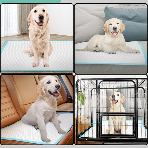 podkłady dla psów higieniczne maty dla psa do sikania zwierząt na Arena.pl