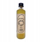 Oxymel/Oksymel BIO Aceto Fruit Tradycyjny 250 ml Naturalny Antybiotyk Żywy