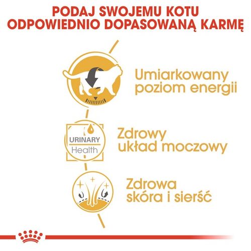Royal Canin karma dla kotów rasy brytyjski krótkowłosy kawałki w sosie 85g na Arena.pl