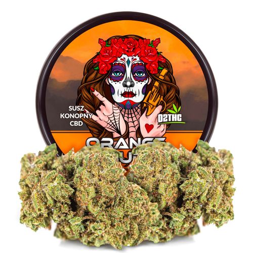 Susz konopny CBD | ORANGE BUD | 50 g na Arena.pl