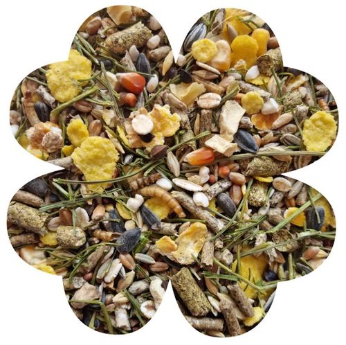 Alegia Enjoy Chomik 800G na Arena.pl