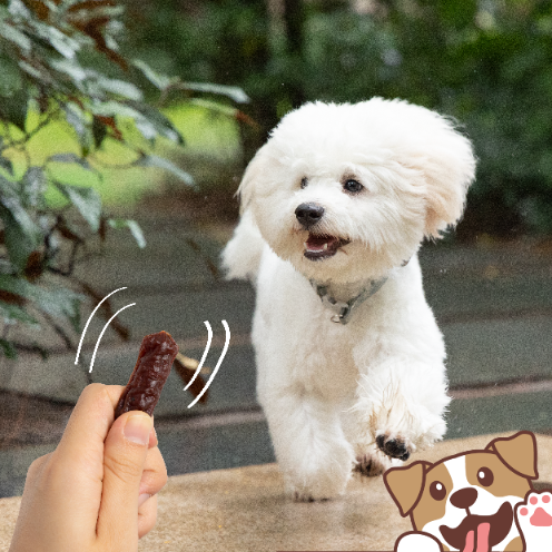 Kielbaski przysmaki dla psa z jagnieciną 500g PAWFECT BITES na Arena.pl