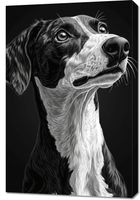 Obraz 60x90cm Portret Zwierząt do Salonu Pokoju | Greyhound | Czarno Białe