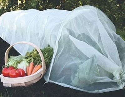 Agrowłóknina BIAŁA 1,6x50m ZIMOWA-WIOSENNA otulina 17g okryciowa na Arena.pl