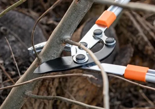 SEKATOR TELESKOPOWY KOWADEŁKOWY DO GAŁĘZI KRZEWÓW PĘDÓW OGRODOWY + RĘKAWICE na Arena.pl