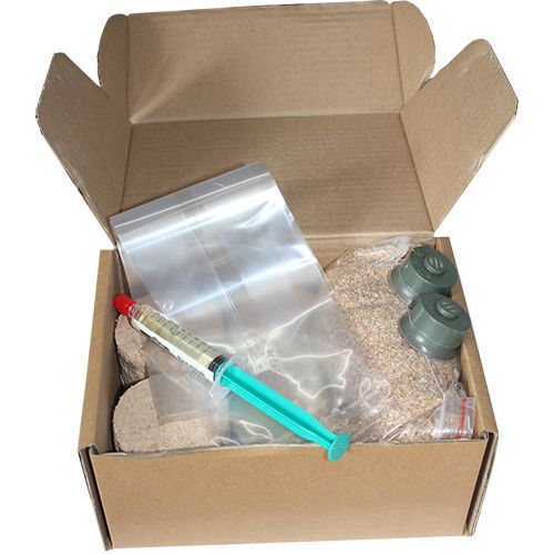 Shiitake zestaw do uprawy grzybów zdjęcie 6