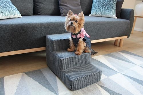 Schodki/schody dla psa na Arena.pl