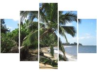 105CM 150CM OBRAZ 5 ELEM WAKACJE TROPIKACH PUUIKIBEACH DRUK