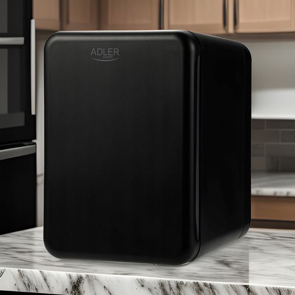 Mała lodówka turystyczna 4L samochodowa AC 12V DC 230V, chłodzenie grzanie zdjęcie 6