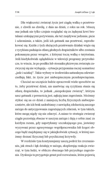 Lęk zdjęcie 5
