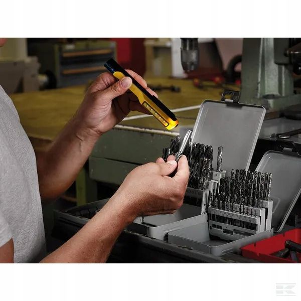 EM1175990010 Latarka LED HL 100 zdjęcie 2