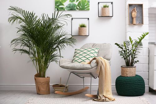 Fotel Zea Szary na Arena.pl