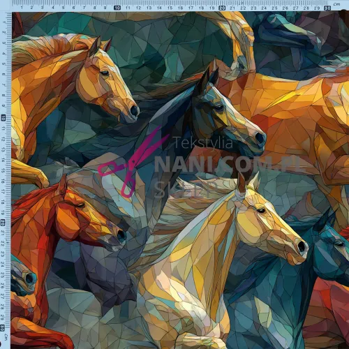 Galop Koni-Dresówka Pętelka 235g/m2 na Arena.pl