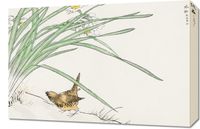 Obraz 60x40cm  Wren and Daffodil. Kashu Japoński Vintage